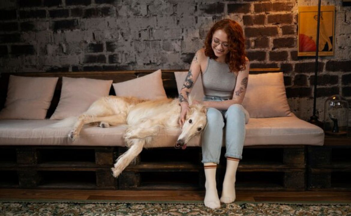 Designer Pet Furniture Redefining Luxury Living